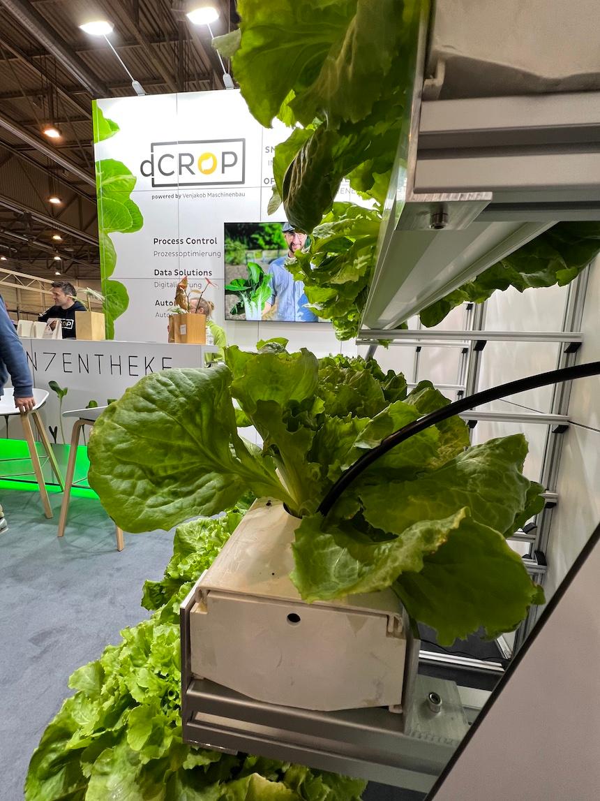 Ein Stand der dCROP auf einer Messe, wo man mehrere Pflanzen in Boxen sieht, die Verkabelt sind.